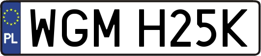WGMH25K