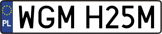 WGMH25M