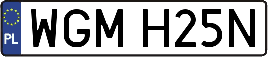 WGMH25N