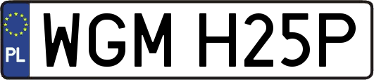 WGMH25P