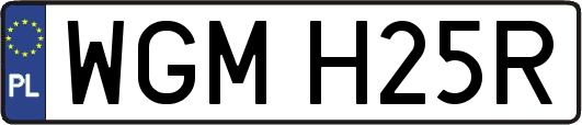 WGMH25R