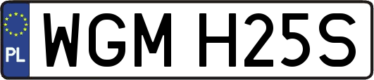 WGMH25S