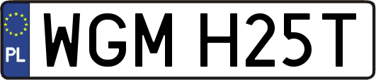 WGMH25T