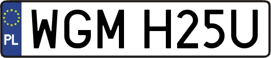 WGMH25U