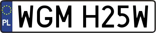 WGMH25W