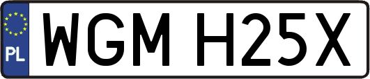 WGMH25X