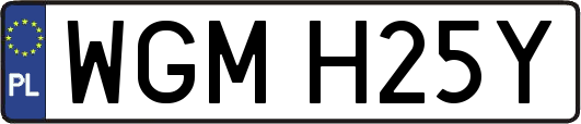 WGMH25Y