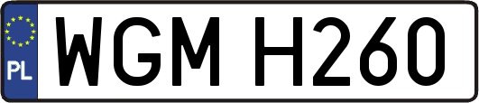 WGMH260