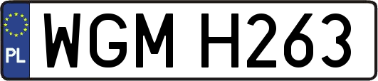 WGMH263