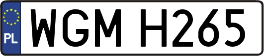 WGMH265