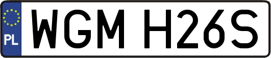 WGMH26S