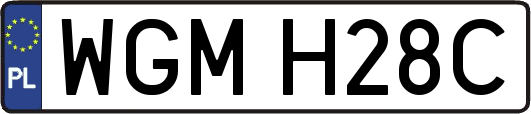 WGMH28C