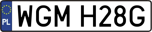 WGMH28G