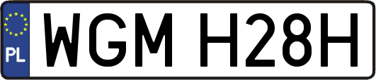 WGMH28H