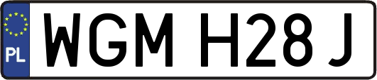 WGMH28J