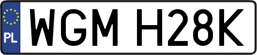 WGMH28K