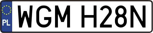 WGMH28N