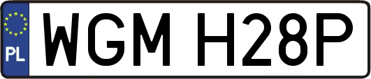 WGMH28P