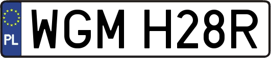 WGMH28R