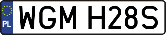 WGMH28S