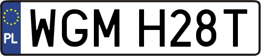 WGMH28T