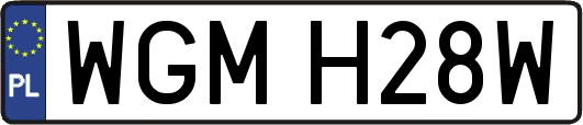WGMH28W
