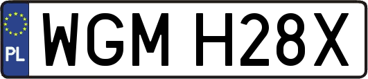 WGMH28X