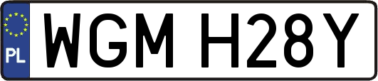 WGMH28Y