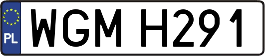 WGMH291