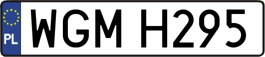 WGMH295