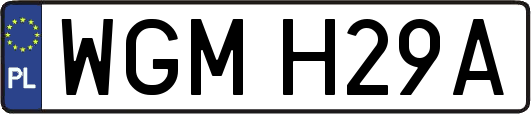 WGMH29A