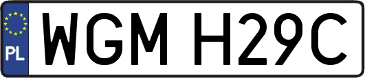 WGMH29C