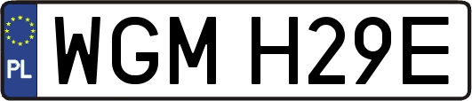 WGMH29E
