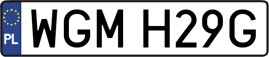 WGMH29G