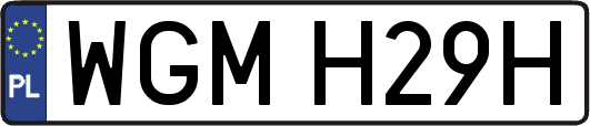 WGMH29H