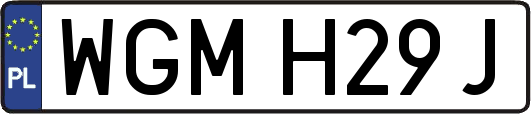 WGMH29J