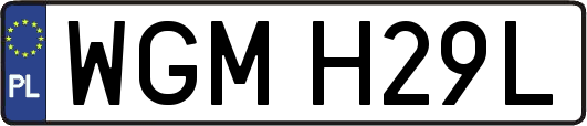 WGMH29L