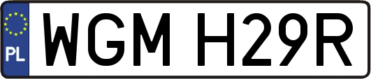 WGMH29R