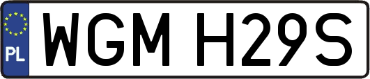 WGMH29S