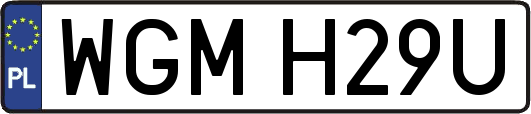 WGMH29U