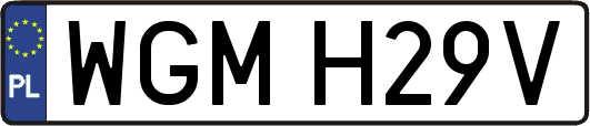 WGMH29V
