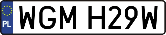 WGMH29W