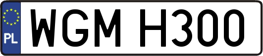 WGMH300