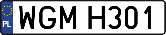 WGMH301