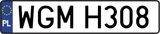 WGMH308