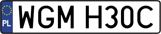 WGMH30C