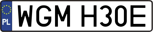 WGMH30E