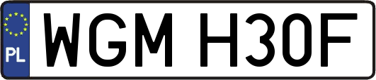 WGMH30F