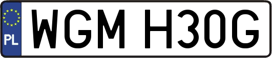WGMH30G