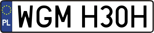 WGMH30H